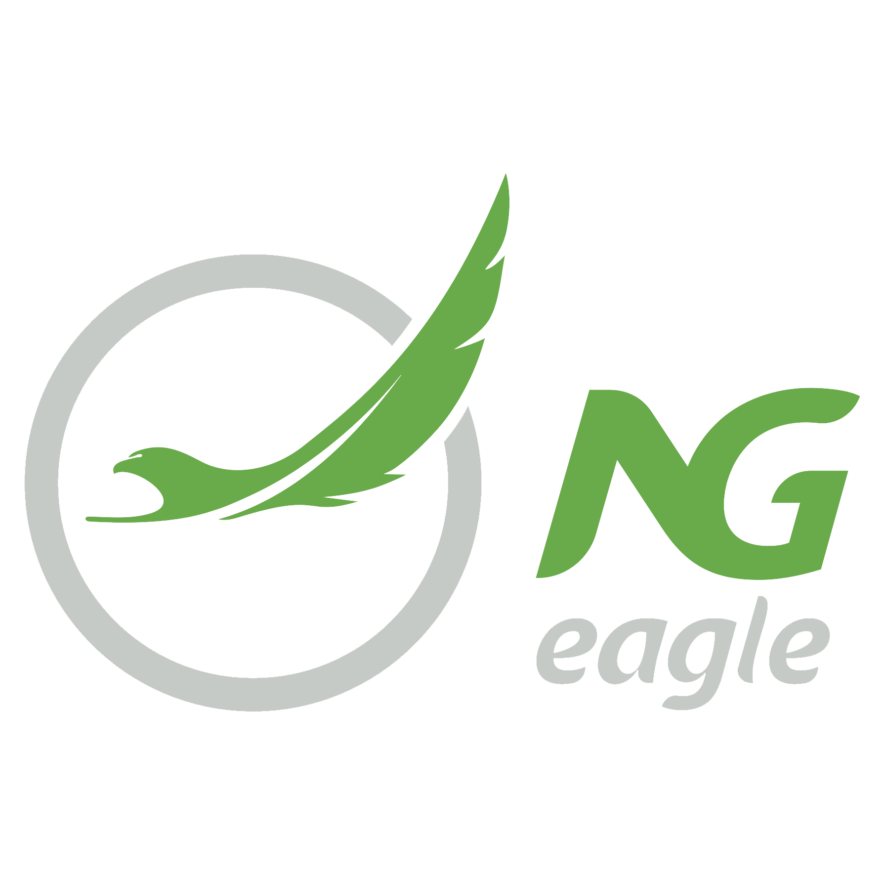 Ng eagle airline reliable affordable flights in and out of nigeria